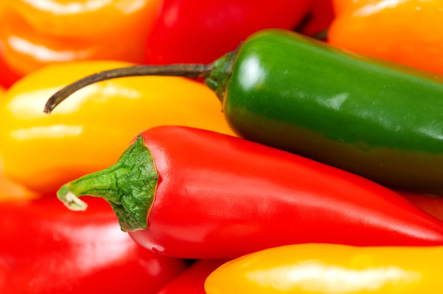 Maak uw gerechten bijzonder met pure smaken
